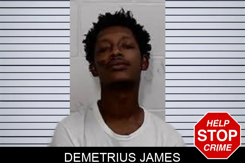 Demetrius James mugshot – Decatur County , Georgia Demetrius James mugshot