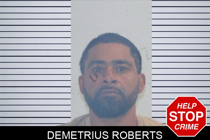 Demetrius Roberts mugshot – McDuffie County , Georgia Demetrius Roberts mugshot