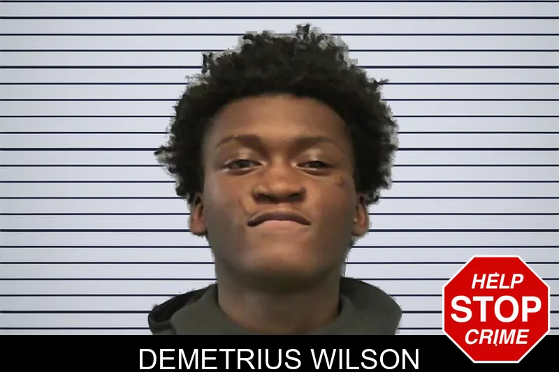 Demetrius Wilson mugshot – Ware County , Georgia Demetrius Wilson mugshot