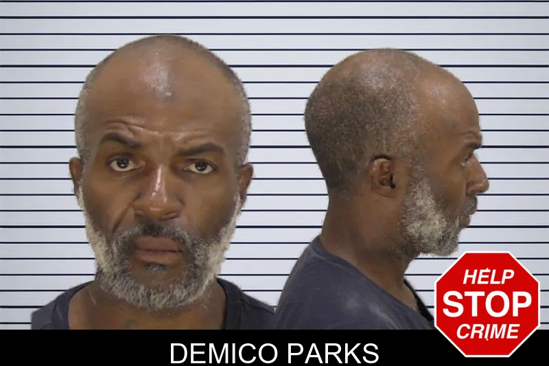 Demico Parks mugshot