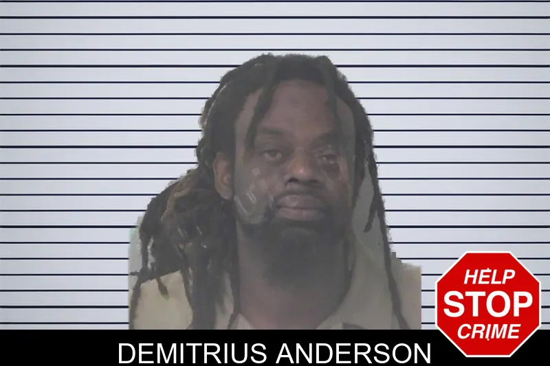 Demitrius Anderson mugshot