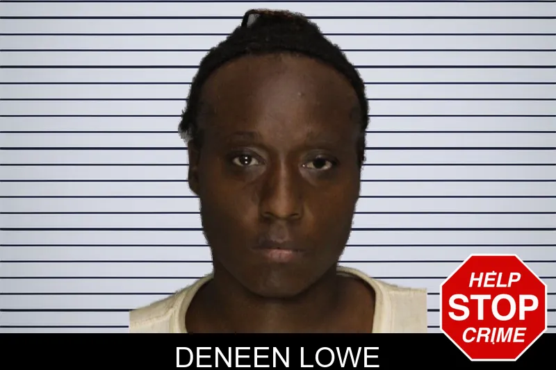 Deneen Lowe mugshot – Cobb County , Georgia Deneen Lowe mugshot