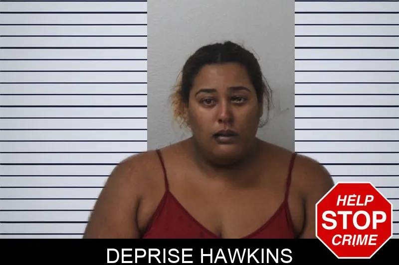 Deprise Hawkins mugshot – Mcintosh County , Georgia Deprise Hawkins mugshot