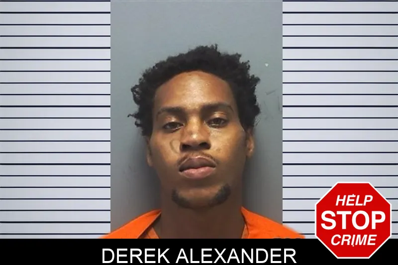 Derek Alexander mugshot