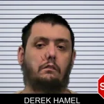 Derek Hamel mugshot – Ware County , Georgia Derek Hamel mugshot