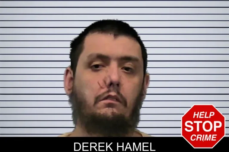 Derek Hamel mugshot – Ware County , Georgia Derek Hamel