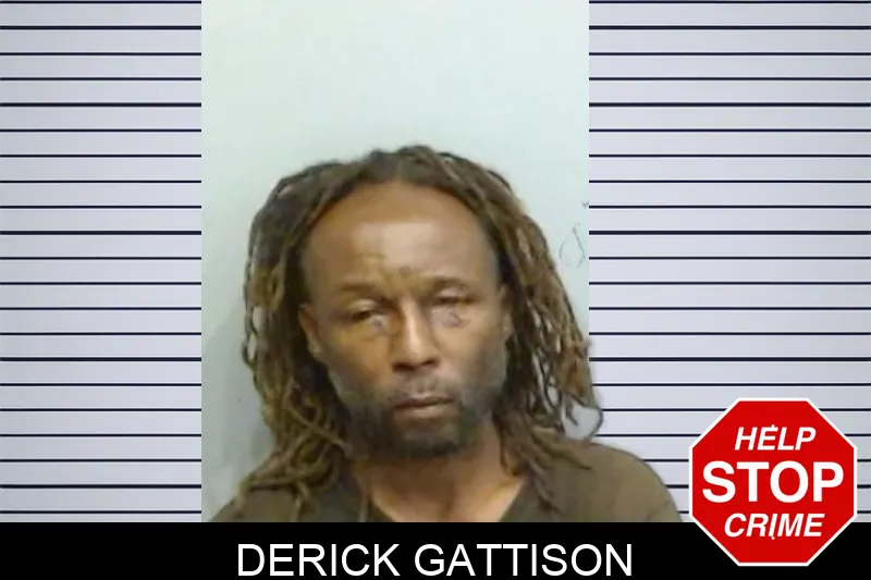 Derick Gattison mugshot