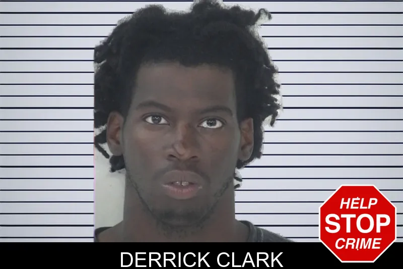 Derrick Clark mugshot – Fayette County , Georgia Derrick Clark mugshot