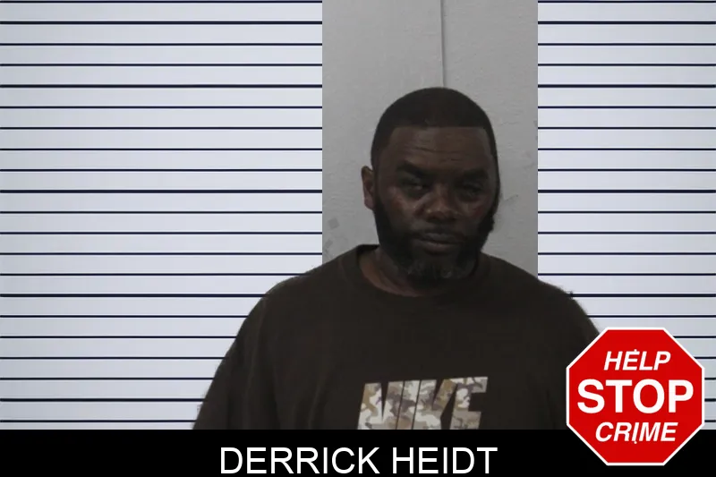 Derrick Heidt mugshot – Mcintosh County , Georgia Derrick Heidt mugshot