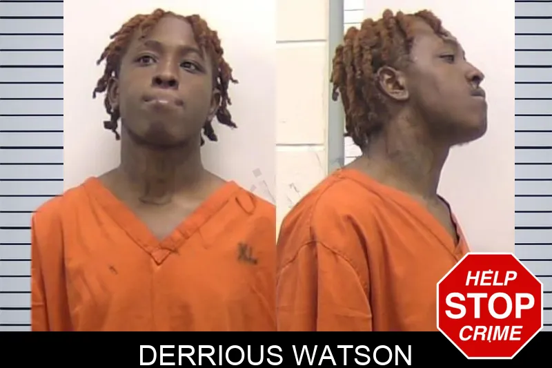 Derrious Watson mugshot