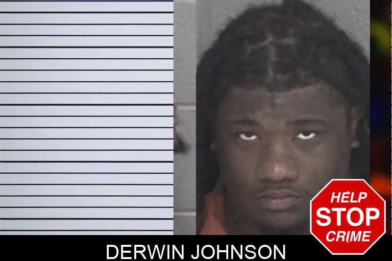 Derwin Johnson mugshot