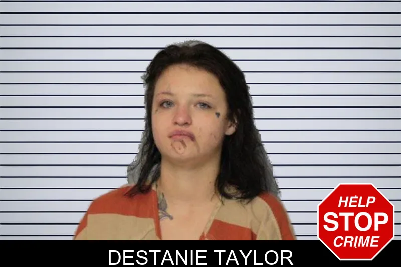 Destanie Taylor mugshot – Hall County , Georgia Destanie Taylor mugshot