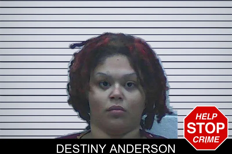 Destiny Anderson mugshot