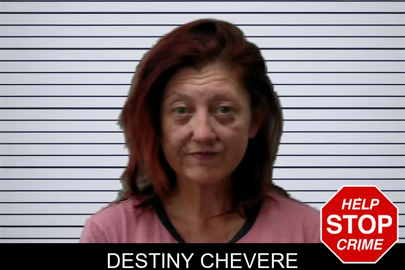 Destiny Chevere mugshot – Towns County , Georgia Destiny Chevere mugshot