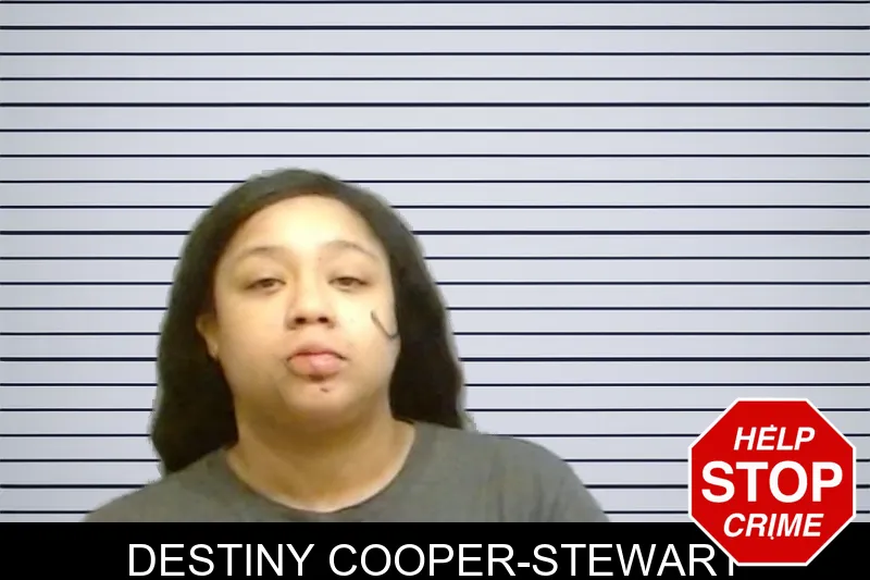 Destiny Cooper-Stewart mugshot – Fulton County , Georgia Destiny Cooper-Stewart mugshot