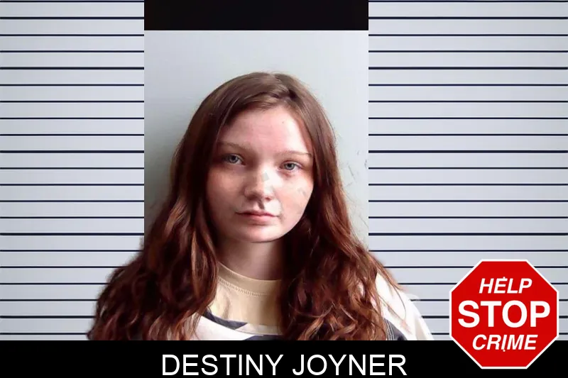 Destiny Joyner mugshot – Evans County , Georgia Destiny Joyner mugshot