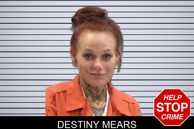 Destiny Mears mugshot