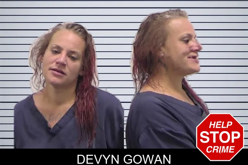 Devyn Gowan mugshot – Clarke County , Georgia Devyn Gowan mugshot