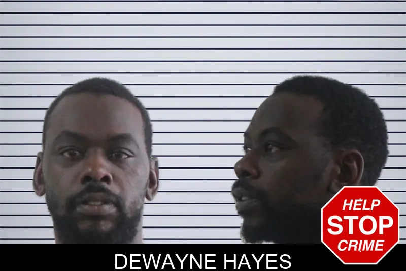 Dewayne Hayes mugshot – Houston County , Georgia Dewayne Hayes mugshot