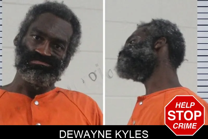 Dewayne Kyles mugshot – Houston County , Georgia Dewayne Kyles mugshot