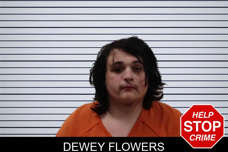 Dewey Flowers mugshot – Pickens County , Georgia Dewey Flowers mugshot