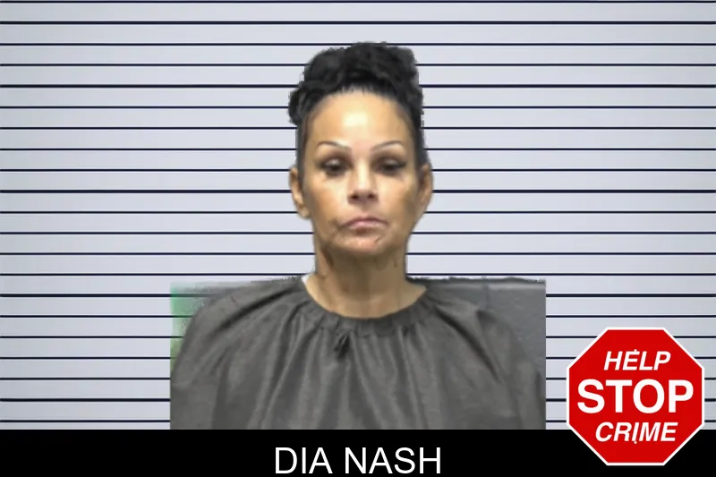 Dia Nash mugshot – Forsyth County , Georgia Dia Nash mugshot