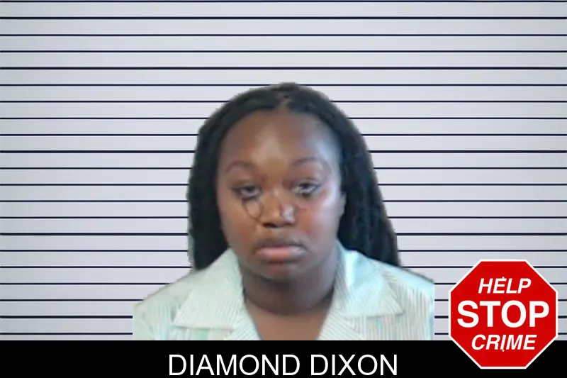 Diamond Dixon mugshot – DeKalb County , Georgia Diamond Dixon mugshot
