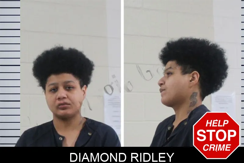 Diamond Ridley mugshot – Houston County , Georgia Diamond Ridley mugshot