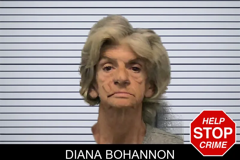 Diana Bohannon mugshot – Ware County , Georgia Diana Bohannon mugshot