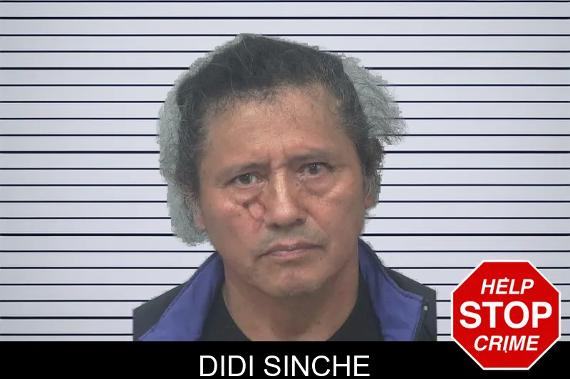 Didi Sinche mugshot – Gwinnett County , Georgia Didi Sinche mugshot