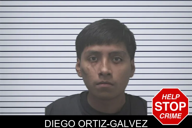 Diego Ortiz-Galvez mugshot – Coweta County , Georgia Diego Ortiz-Galvez mugshot