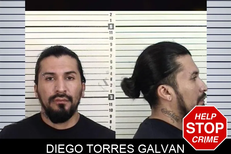 Diego Torres Galvan mugshot