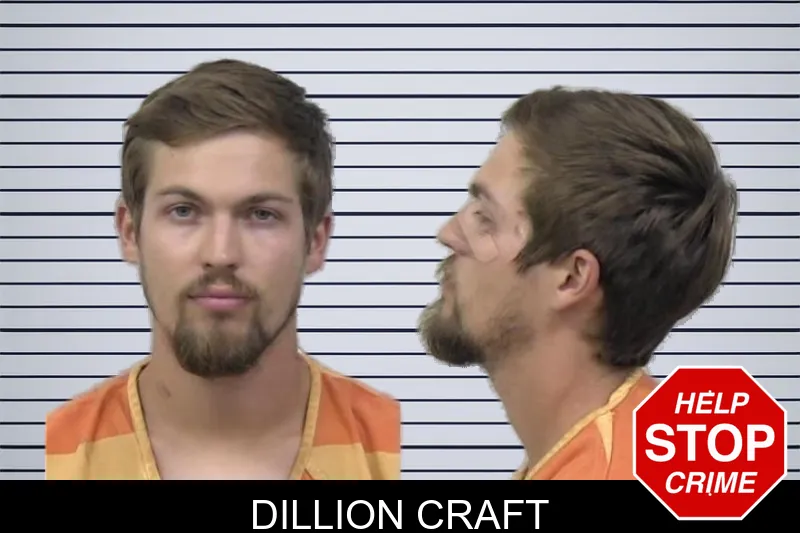 Dillion Craft mugshot – Paulding County , Georgia Dillion Craft mugshot