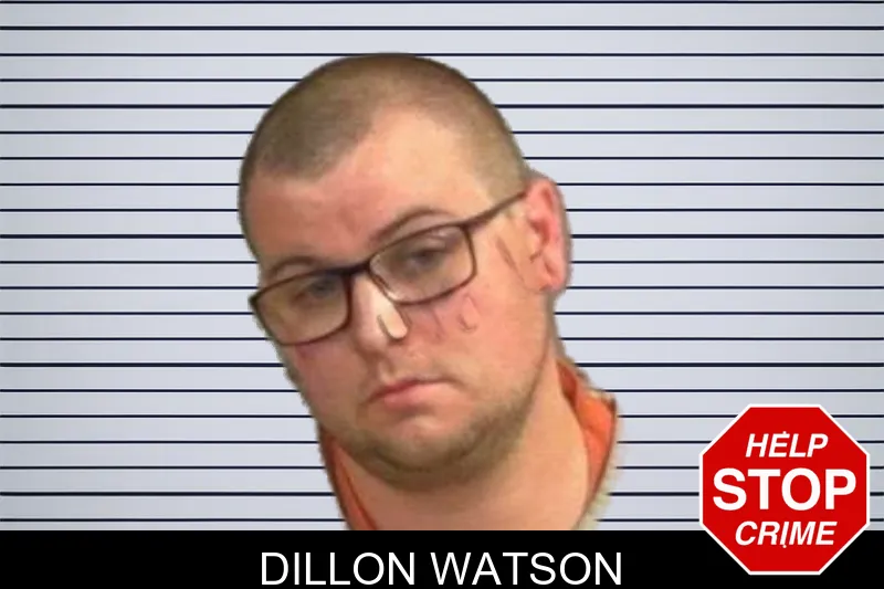 Dillon Watson mugshot – Upson County , Georgia Dillon Watson mugshot