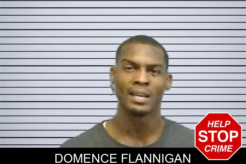 Domence Flannigan mugshot