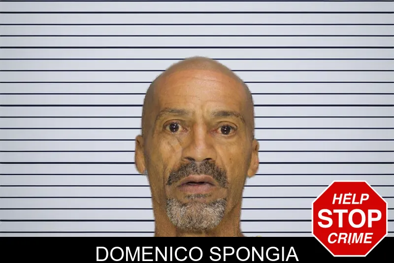 Domenico Spongia mugshot – Cobb County , Georgia Domenico Spongia mugshot