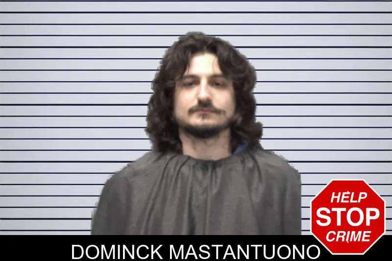 Dominck Mastantuono mugshot – Forsyth County , Georgia Dominck Mastantuono mugshot