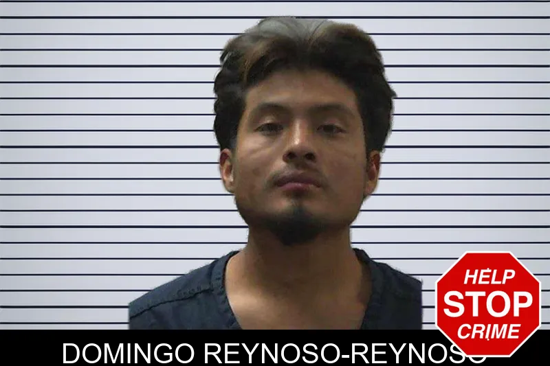 Domingo Reynoso-Reynoso mugshot – Gilmer County , Georgia Domingo Reynoso-Reynoso mugshot