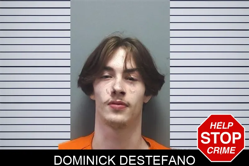 Dominick Destefano mugshot – Cherokee County , Georgia Dominick Destefano mugshot