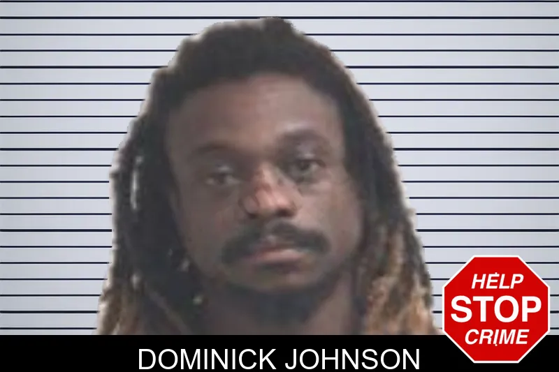 Dominick Johnson mugshot – Henry County , Georgia Dominick Johnson mugshot