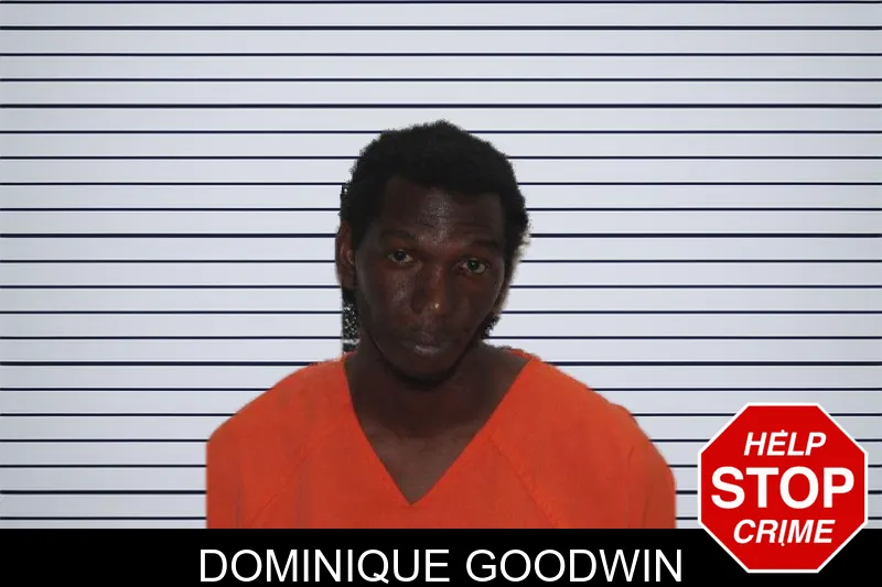 Dominique Goodwin mugshot
