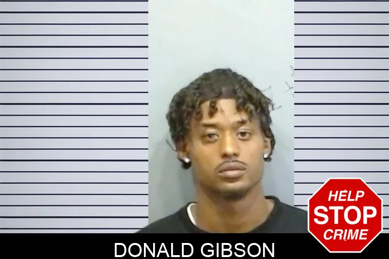 Donald Gibson mugshot