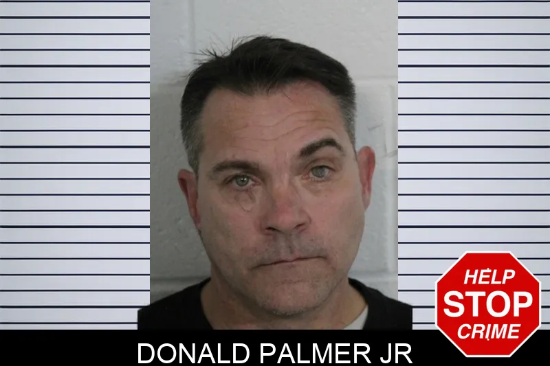 Donald Palmer Jr mugshot