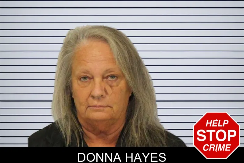 Donna Hayes mugshot – Carroll County , Georgia Donna Hayes mugshot
