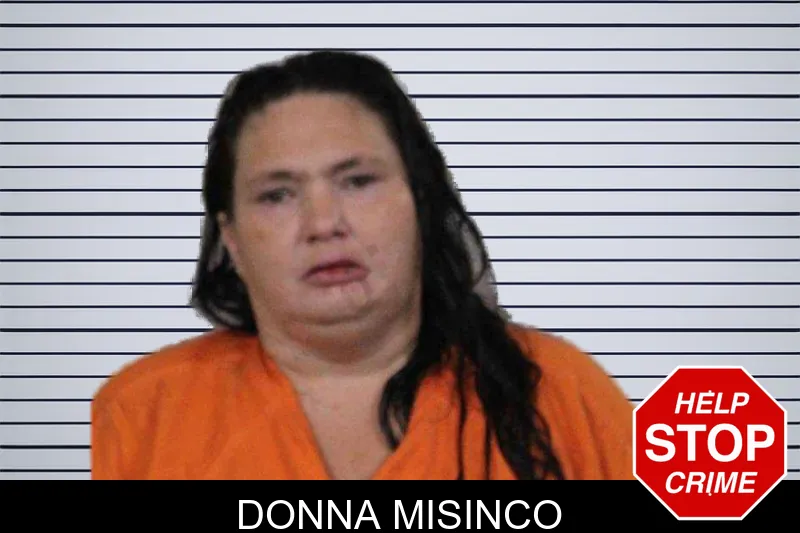 Donna Misinco mugshot – Lamar County , Georgia Donna Misinco mugshot