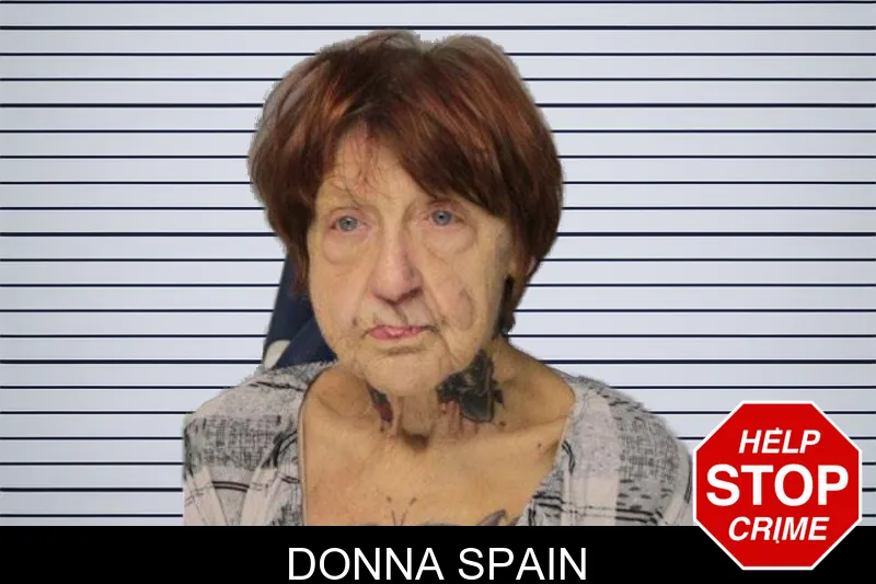 Donna Spain mugshot – Hall County , Georgia Donna Spain mugshot