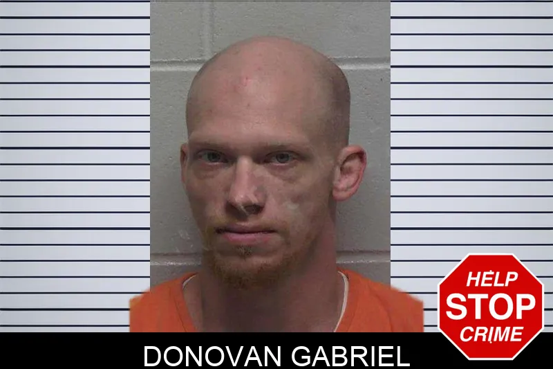 Donovan Gabriel mugshot – Laurens County , Georgia Donovan Gabriel mugshot