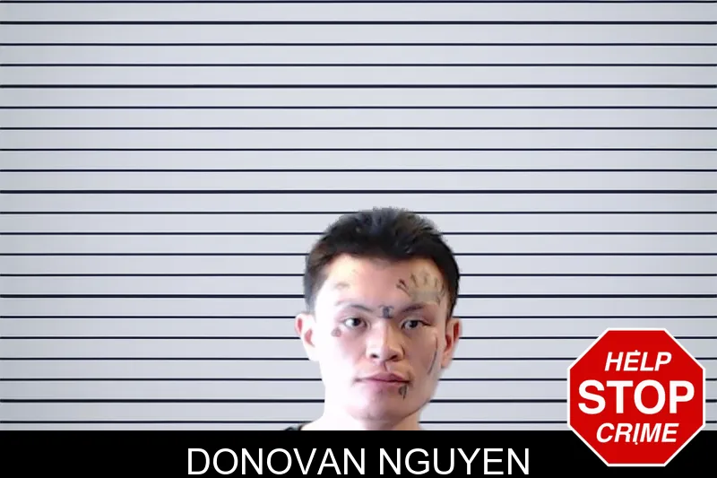 Donovan Nguyen mugshot