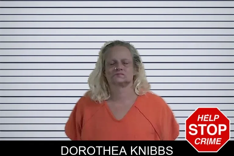 Dorothea Knibbs mugshot – Fannin County , Georgia Dorothea Knibbs