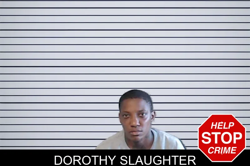 Dorothy Slaughter mugshot – DeKalb County , Georgia Dorothy Slaughter mugshot